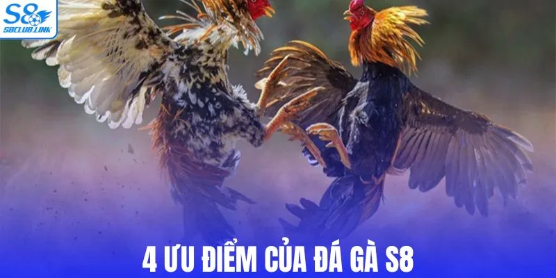4 ưu điểm của đá gà S8