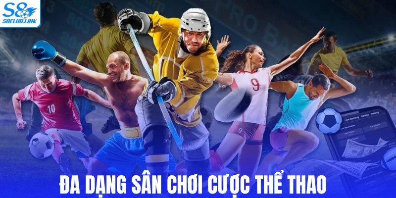 Đa dạng sân chơi cược thể thao tại nền tảng