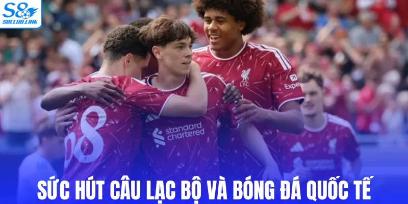Đánh giá sức hút câu lạc bộ và bóng đá quốc tế