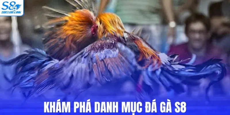 Khám phá danh mục đá gà S8