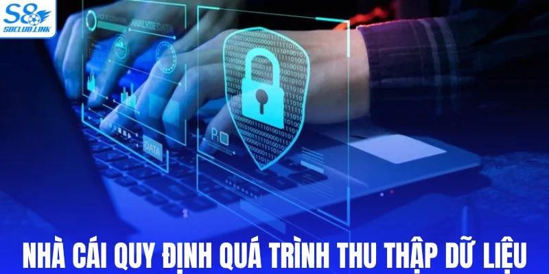 Nhà cái quy định cụ thể quá trình thu thập dữ liệu