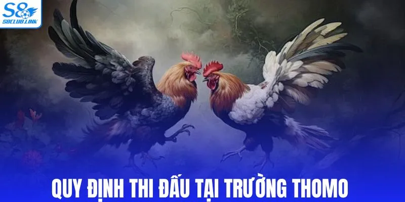 Quy định thi đấu tại trường Thomo
