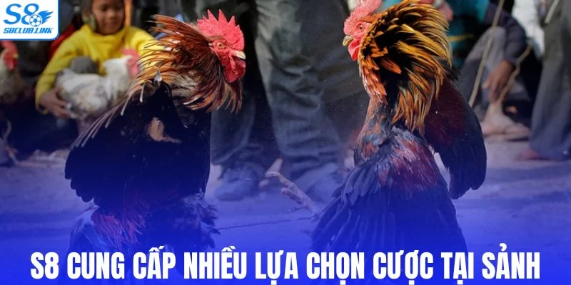 S8 cung cấp nhiều lựa chọn cược tại sảnh