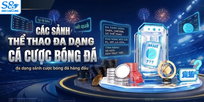 S8 đa dạng sảnh cược bóng đá hàng đầu