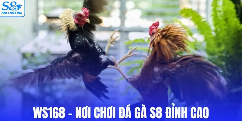 WS168 - Nơi chơi đá gà S8 đỉnh cao